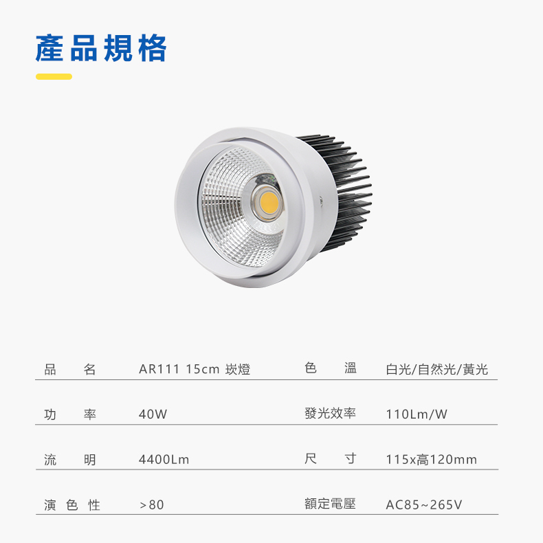 AR111模組光源 規格