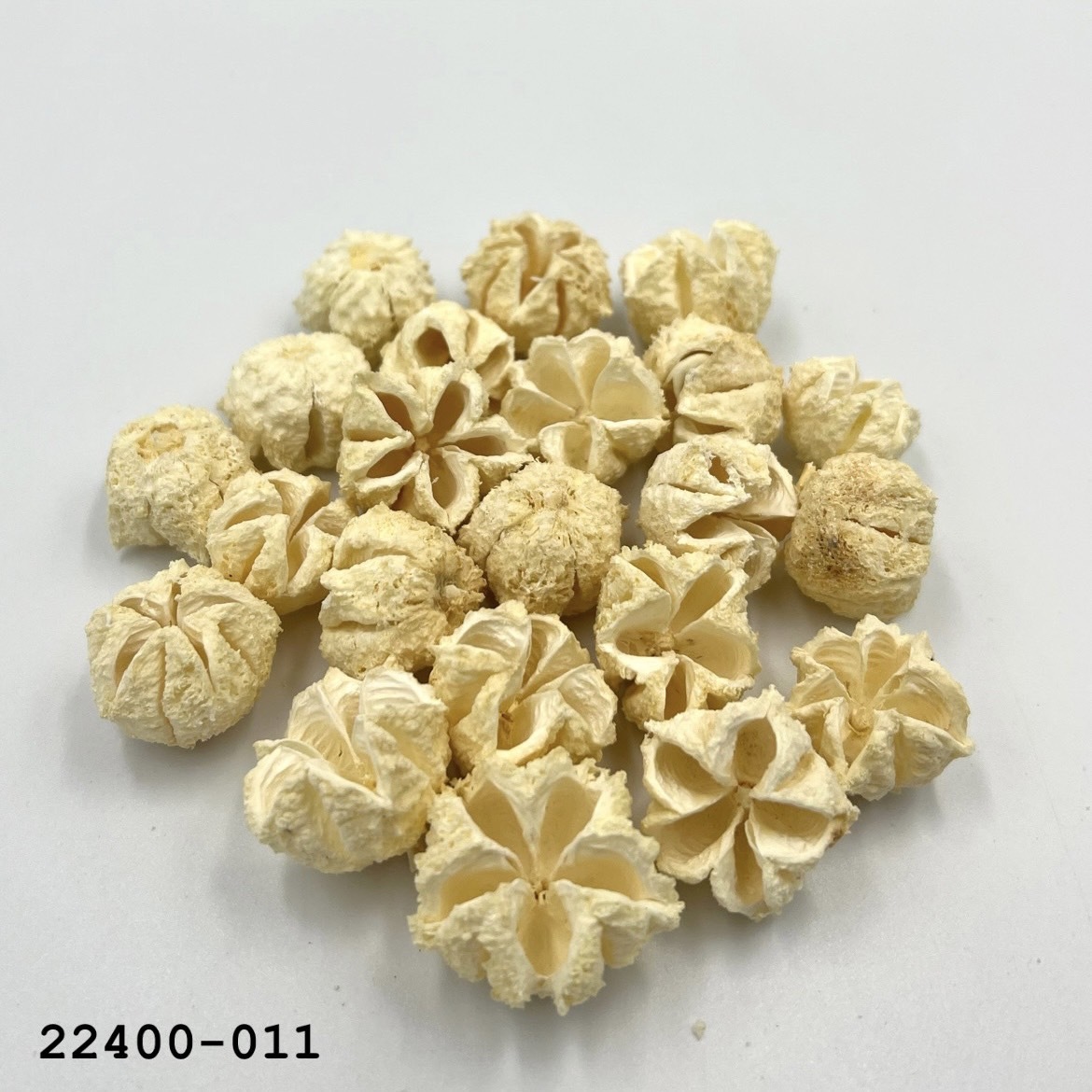 乾燥芸香果 22400-011