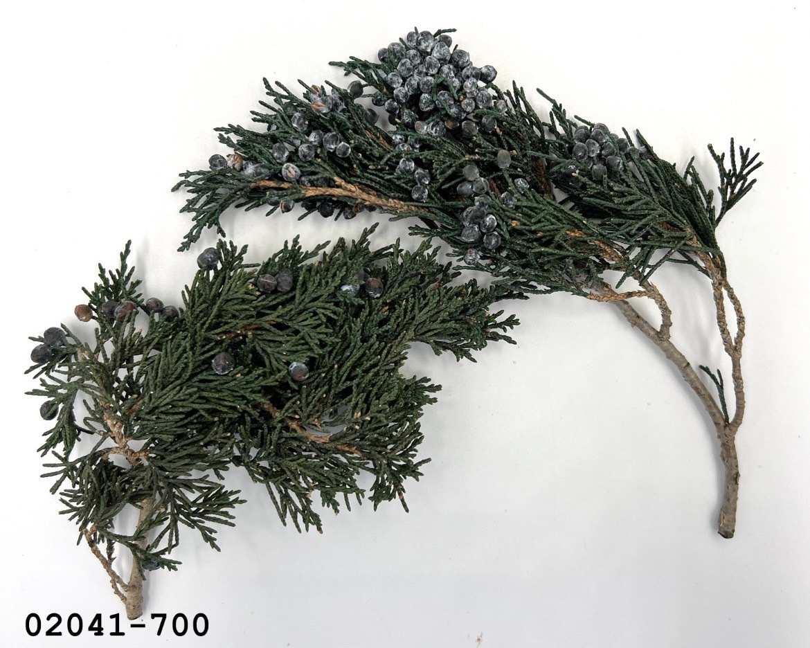 02041-700 袋裝石松