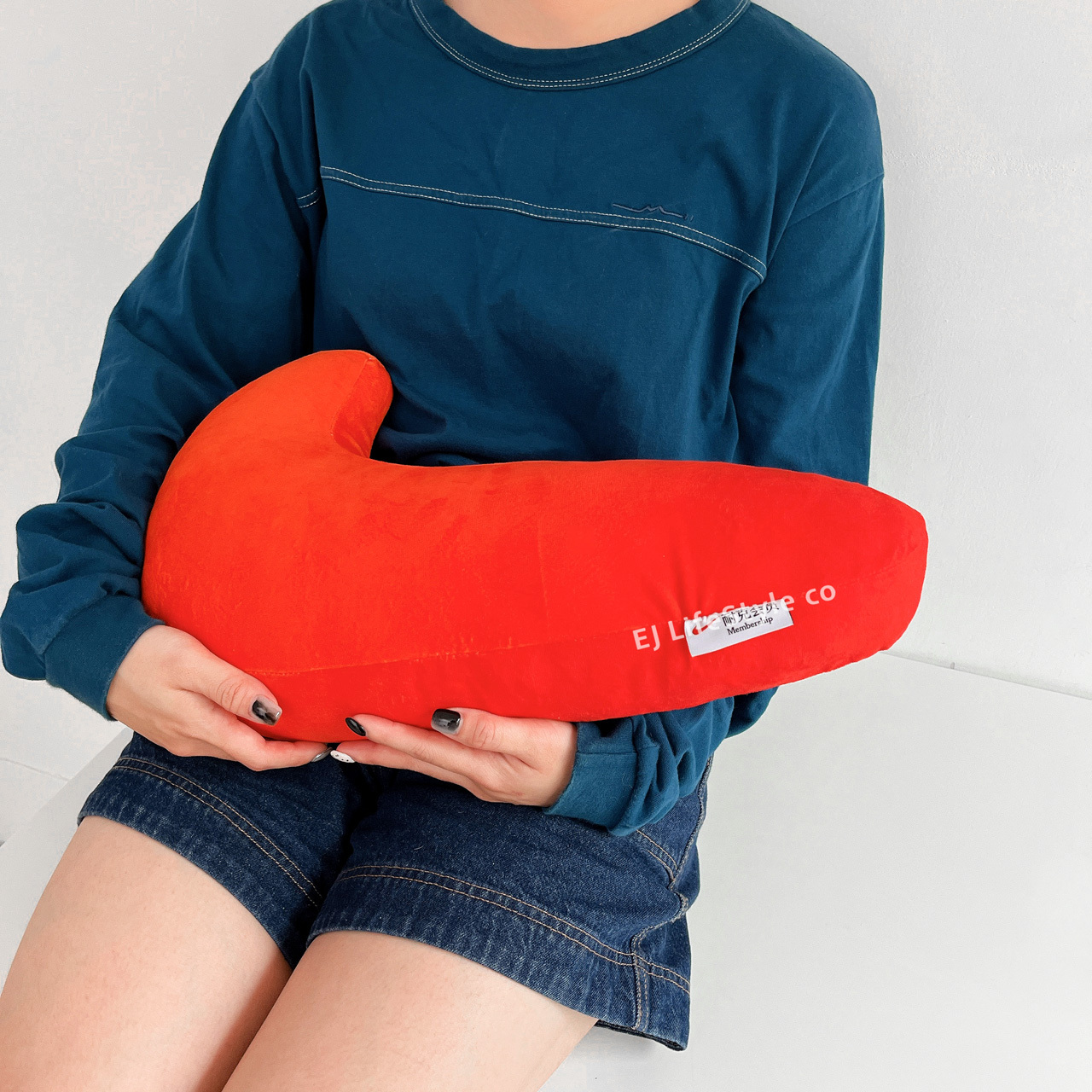 NIKE SWOOSH 勾勾 大勾 抱枕 靠墊 枕頭 橘色 國外限定 / 現貨