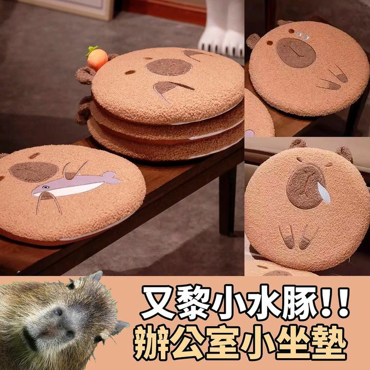 小水豚辦公室小坐墊
