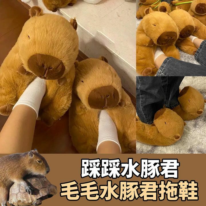 毛毛水豚君拖鞋