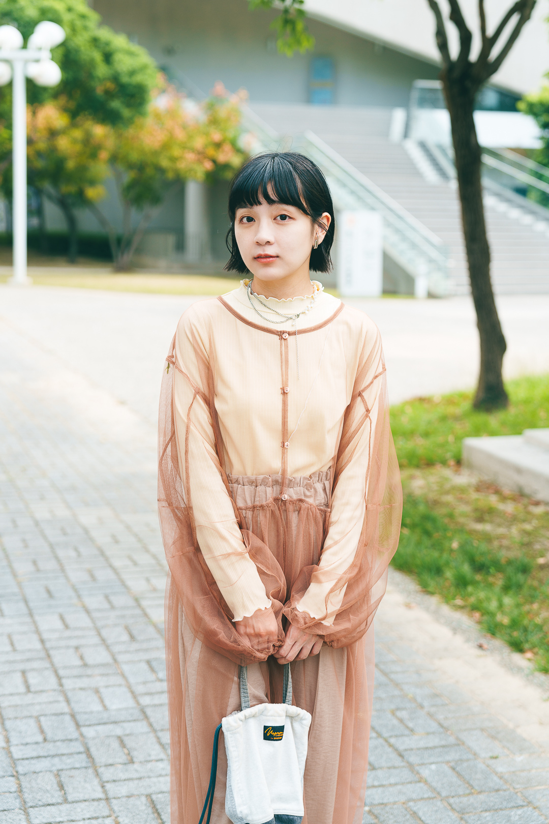 安妮寶貝！網紗罩衫連衣裙(三色-栗子咖)