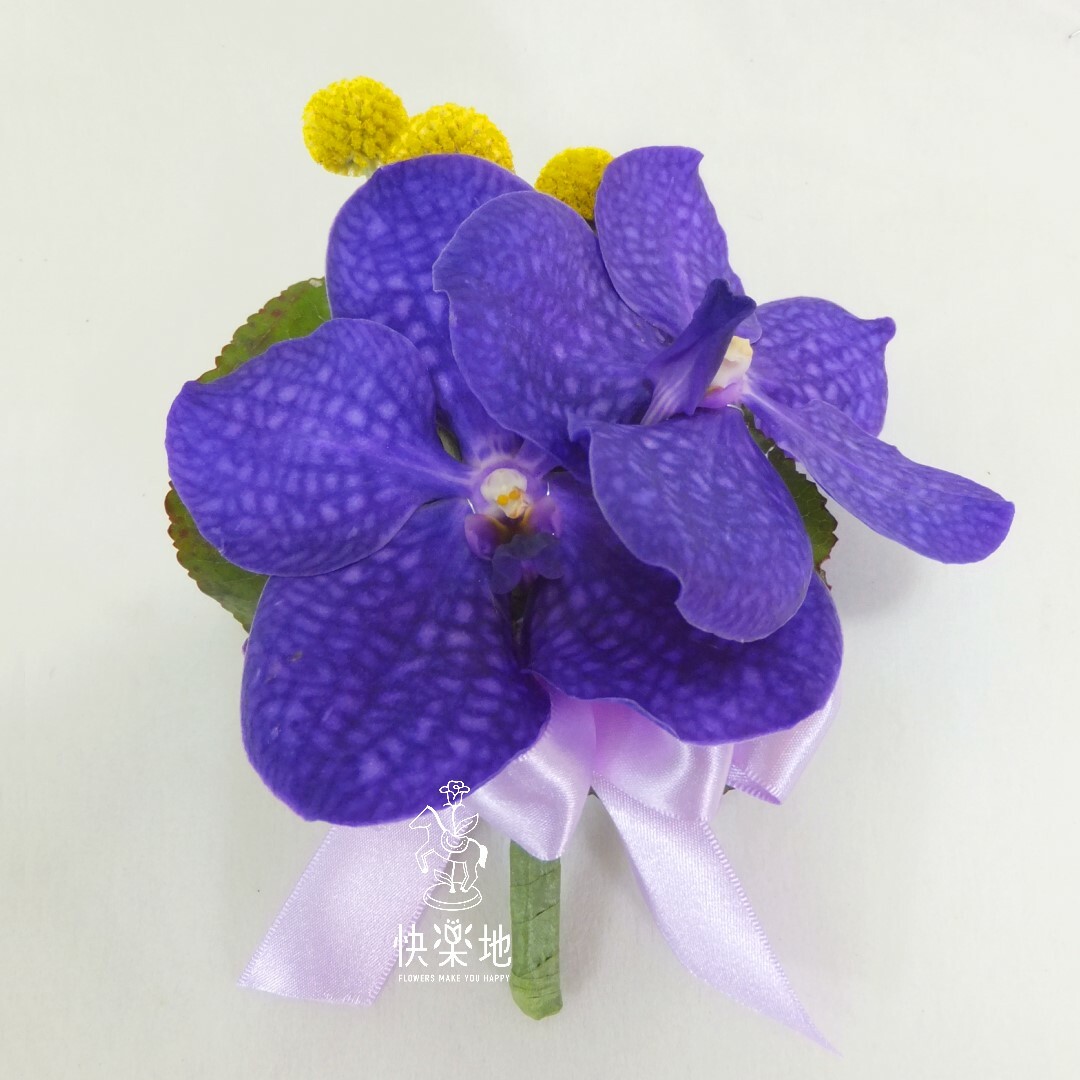 紫靚✵千代蘭胸花  AF231101