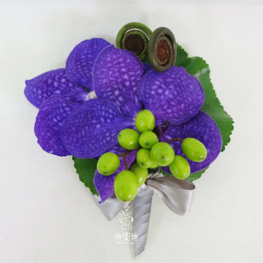 紫雅✵千代蘭胸花  AF231102