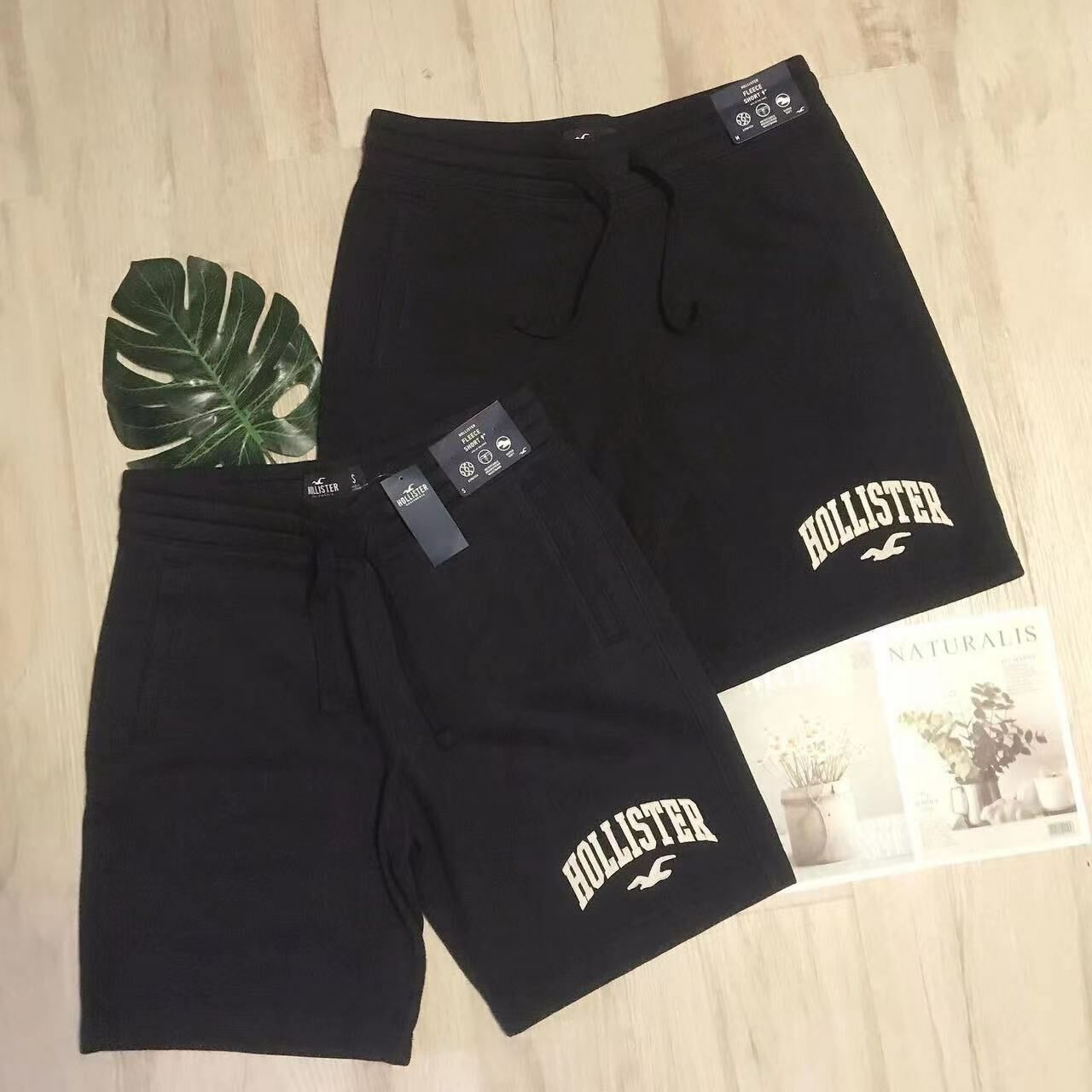 HOLLISTER LOGO SWEAT SHORTS