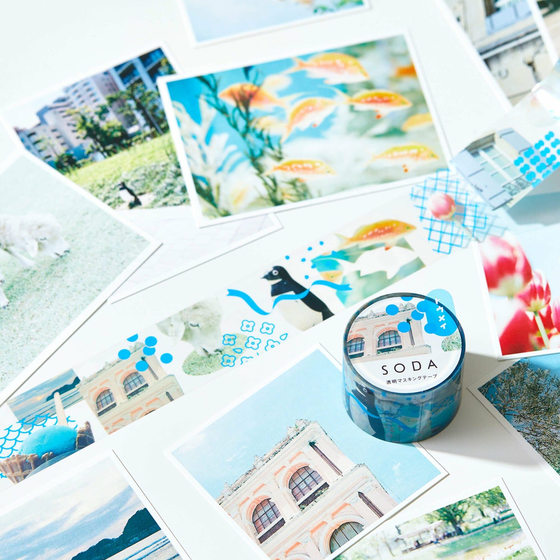 寫真 Soda透明PET膠帶 寬30MM ｜KING JIM