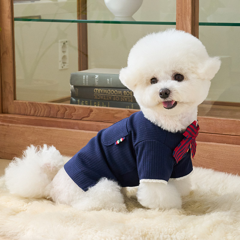 學院風棉T-海軍藍  It’s sunny outside