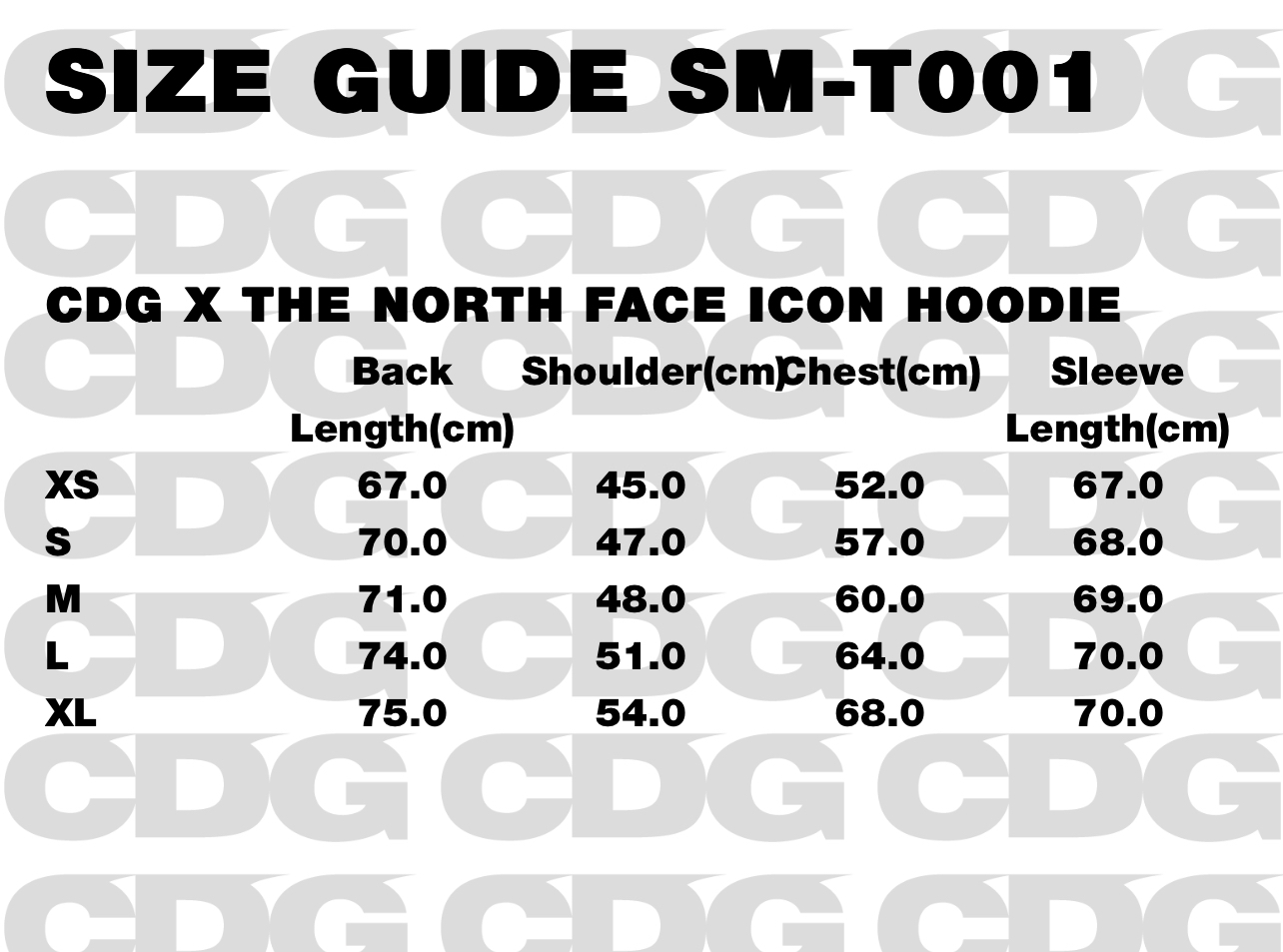 CDG x THE NORTH FACE ICON HOODIE CDG x THE NORTH FACE ICON HOODIE