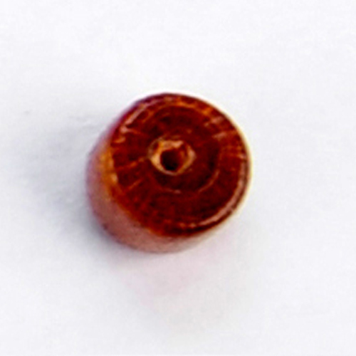 金珊瑚 輪狀珠【十方】115496