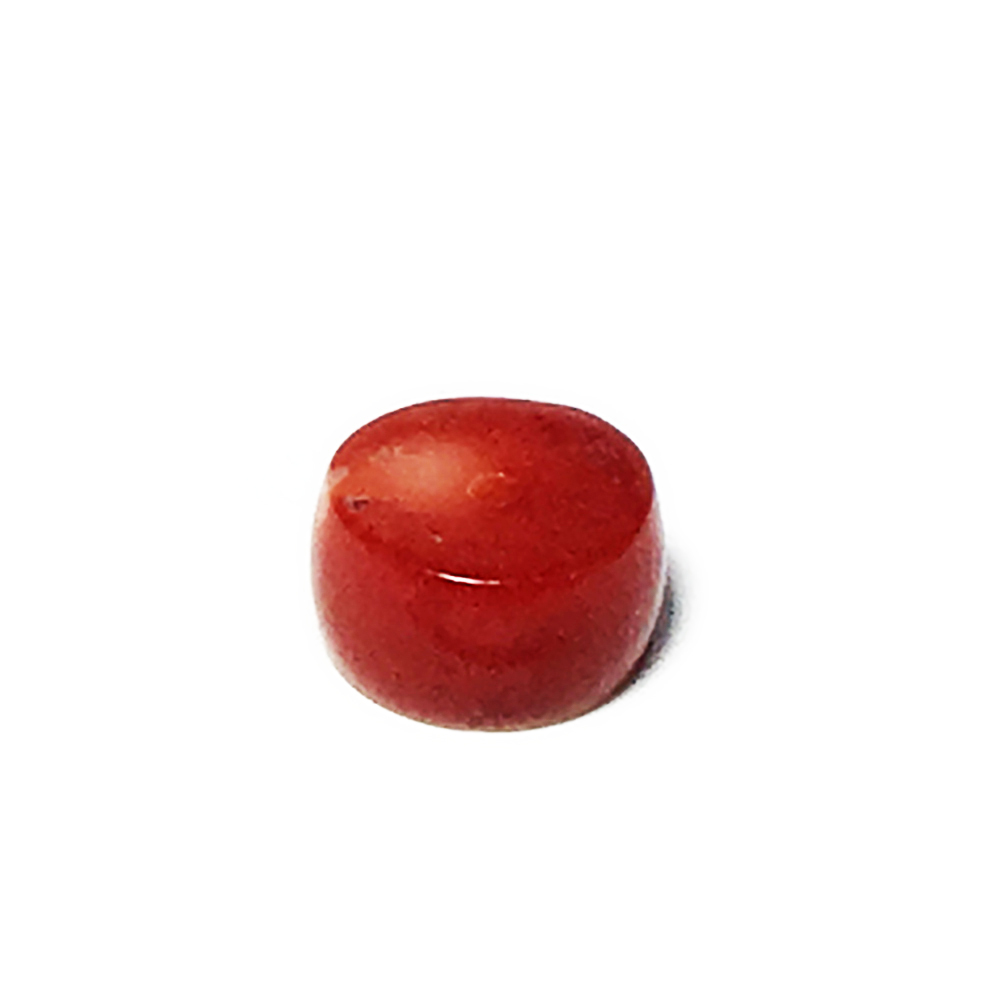 紅珊瑚 0.7g 小品 約0.8*0.8*0.6公分【十方】144897