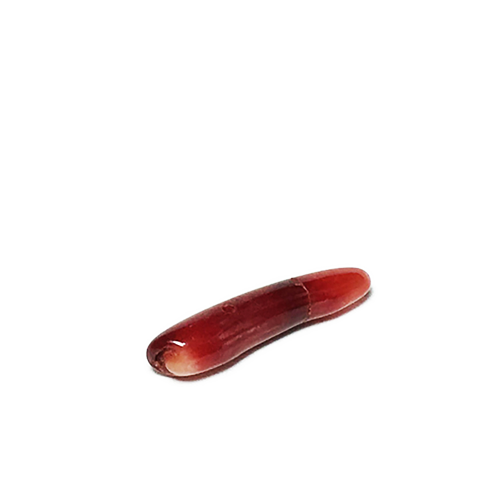 珊瑚  1.4*0.7*0.4公分【十方】144814