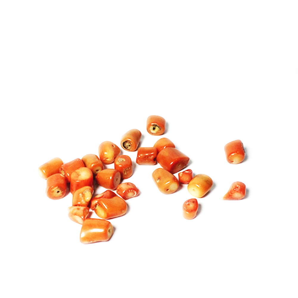 珊瑚 配件1g以下 約0.7*0.7*1公分【十方】145034