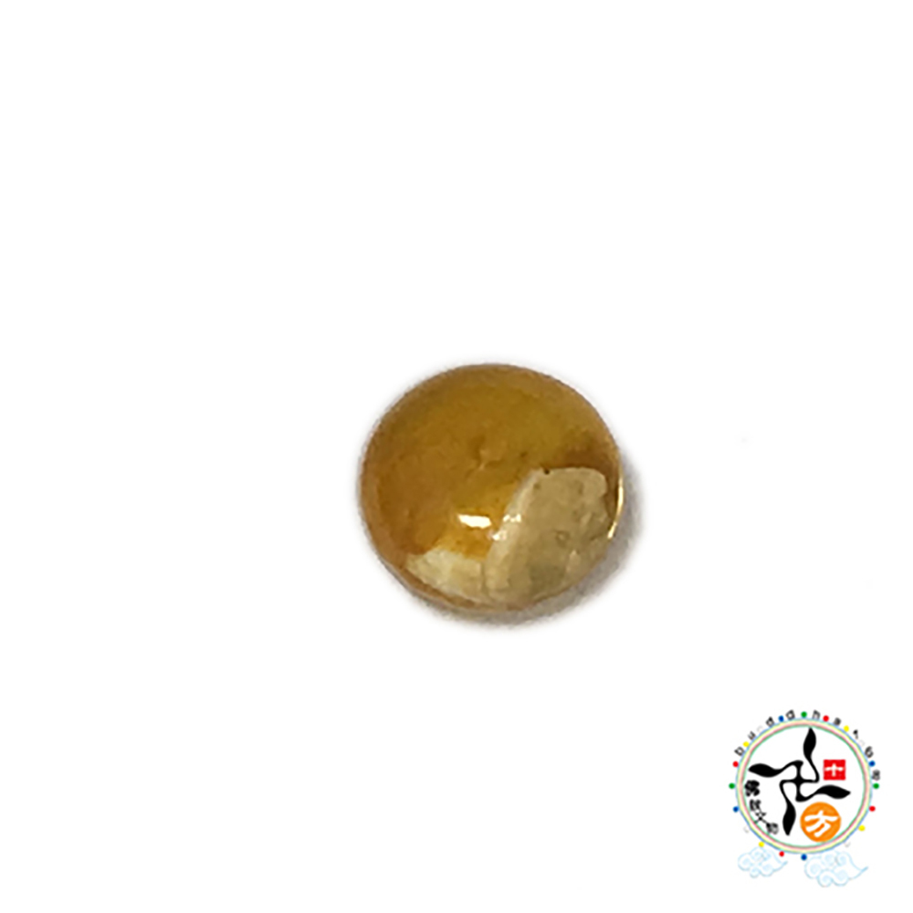 黃金硨磲 扁珠 0.8*0.5公分 配件2個【十方】144082