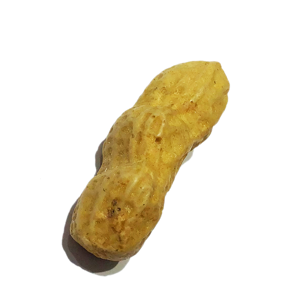 花生 化石 好事發生1顆【十方】151023