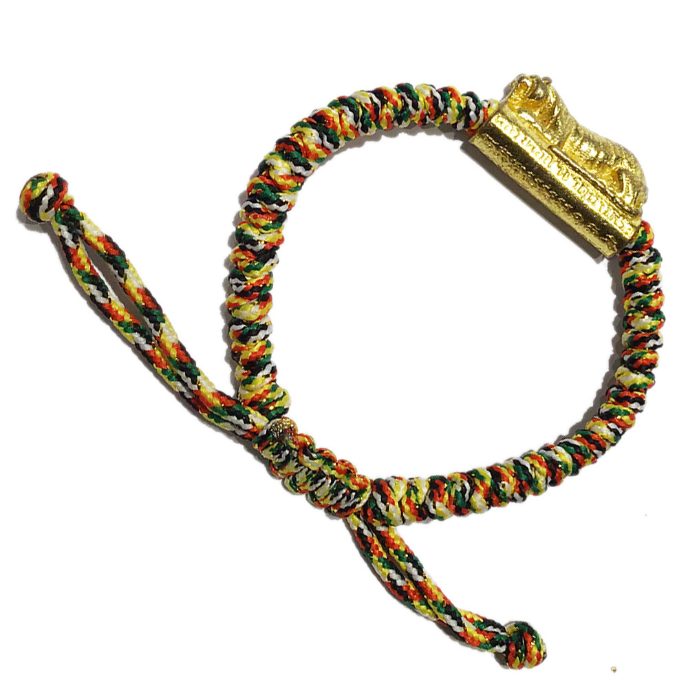 咬錢虎五色線手鍊【十方】138355