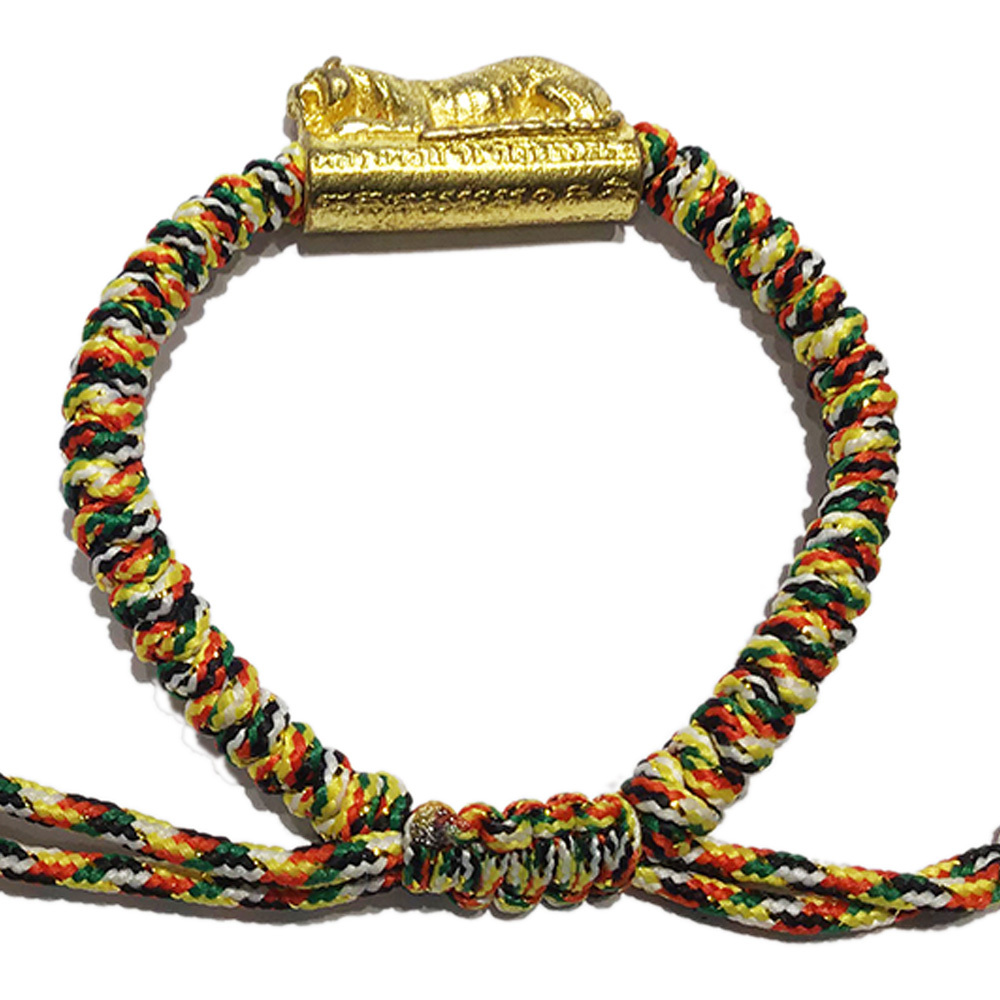 咬錢虎五色線手鍊【十方】138355