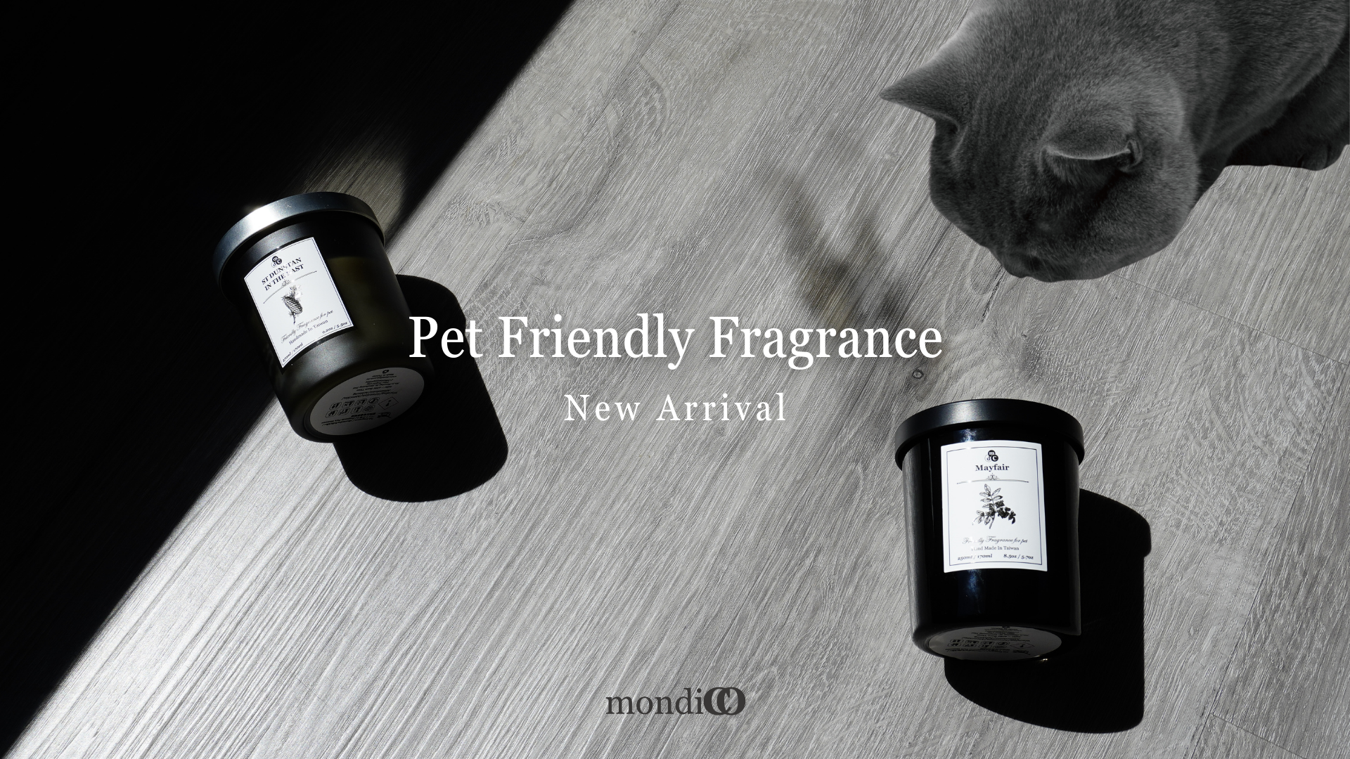 一隻貓還有香氛蠟燭與擴香