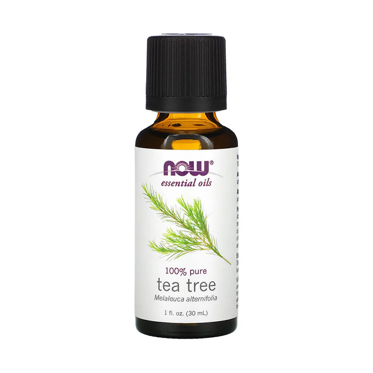 Now Foods, Essential Oils, Tea Tree, 1 fl oz (30 ml)