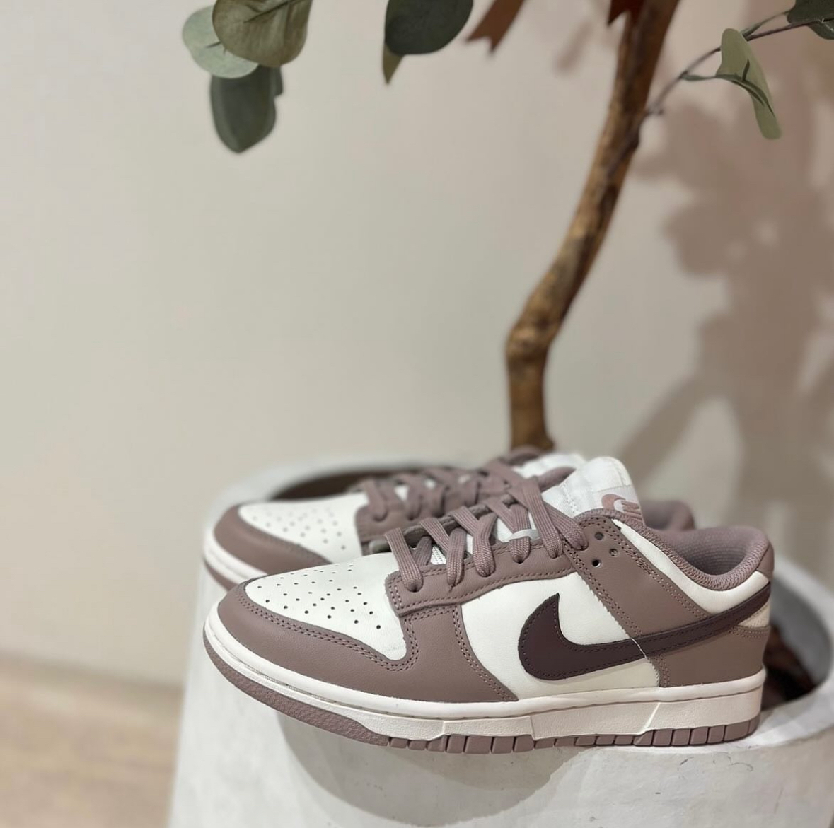 NIKE DUNK LOW DIFFUSED TAUPE 可可拿鐵 大地色 奶油 奶茶 皮革（DD1503-125）