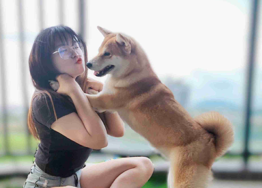 工作用藍牙耳機分享