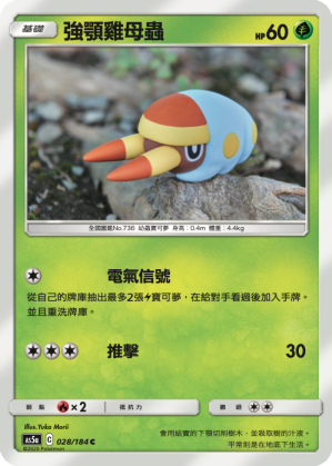 AS5aF 028/184 強顎雞母蟲