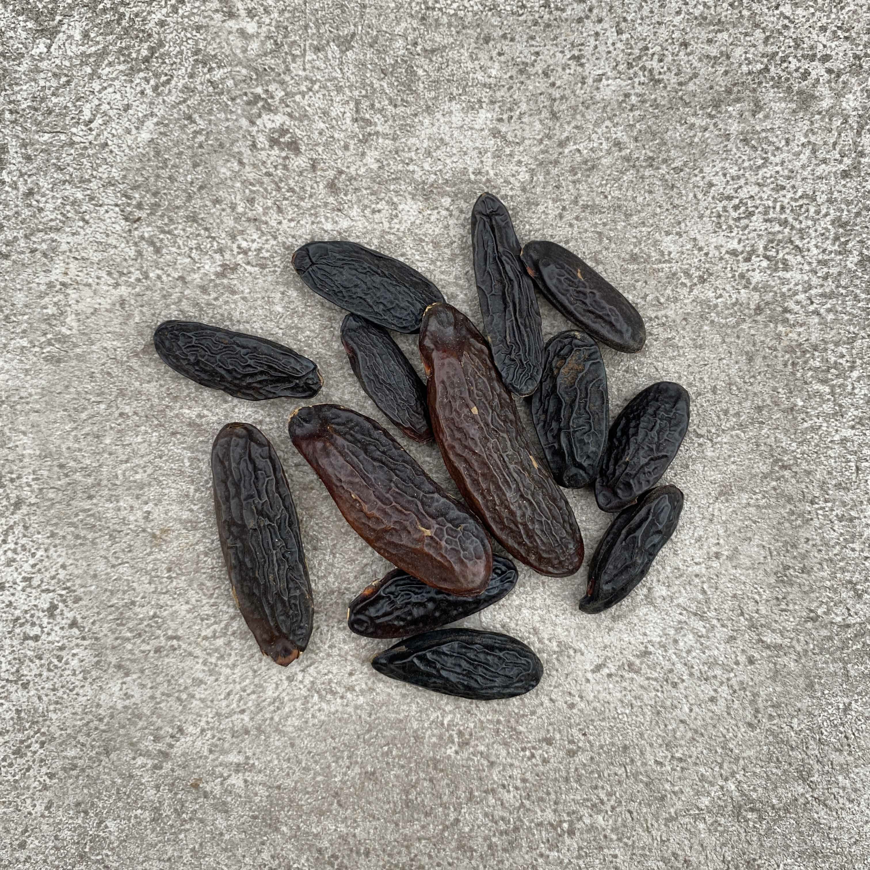 東加豆(零陵香豆)