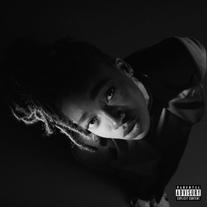 Little Simz《Grey Area》（CD）