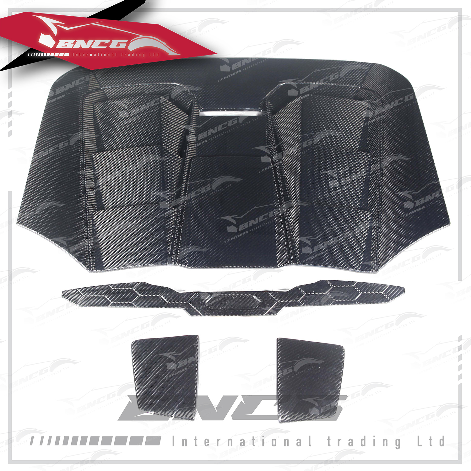 藍寶堅尼 Lamborghini Huracan EVO Spyder 乾碳纖維 空力套件 OEM款 發動機蓋