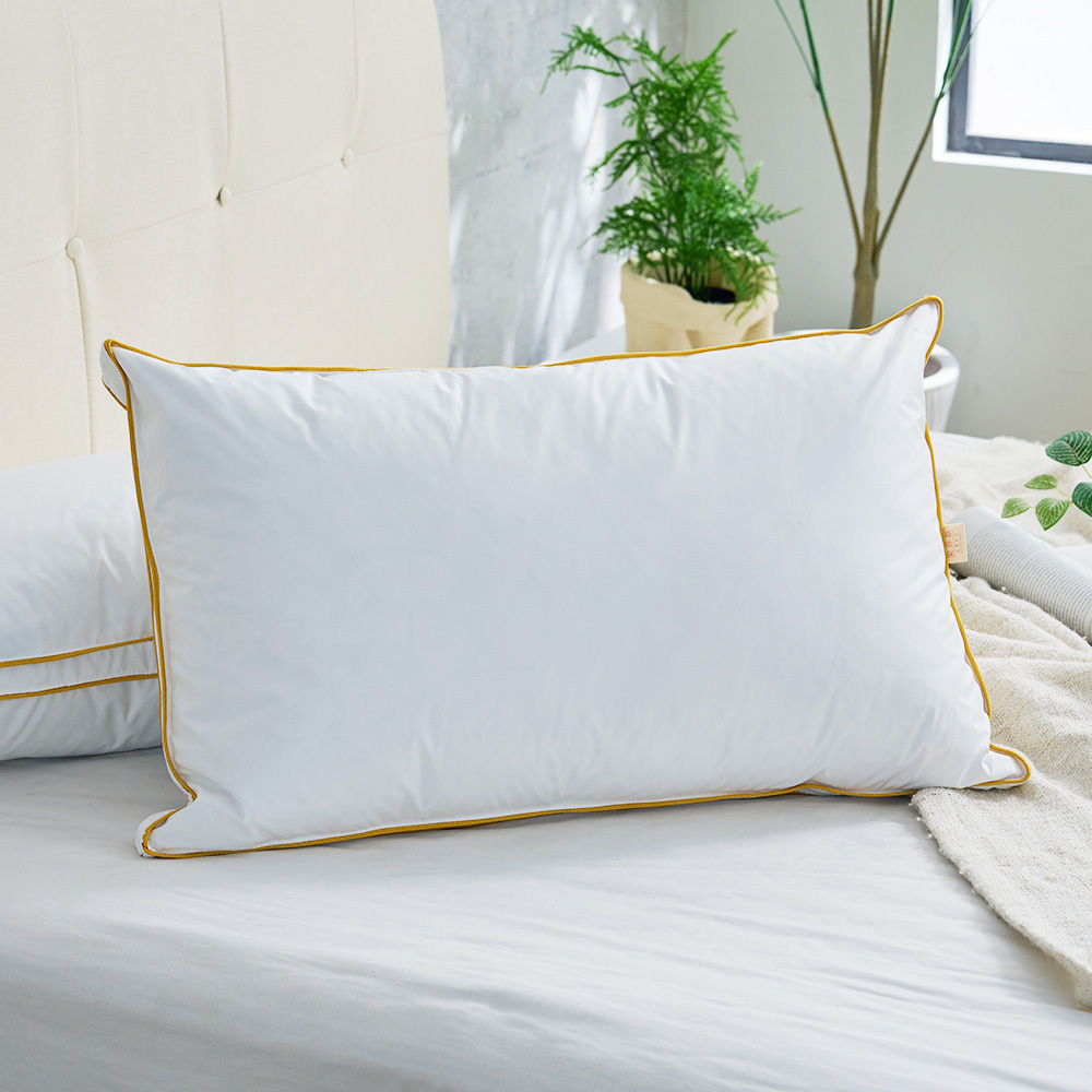 愛菲斯-輕量天然羽毛枕芯-兩顆入