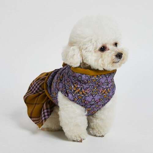 Louisdog 雙面Liberty夾克