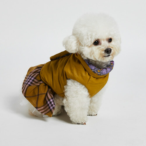 Louisdog 雙面Liberty夾克