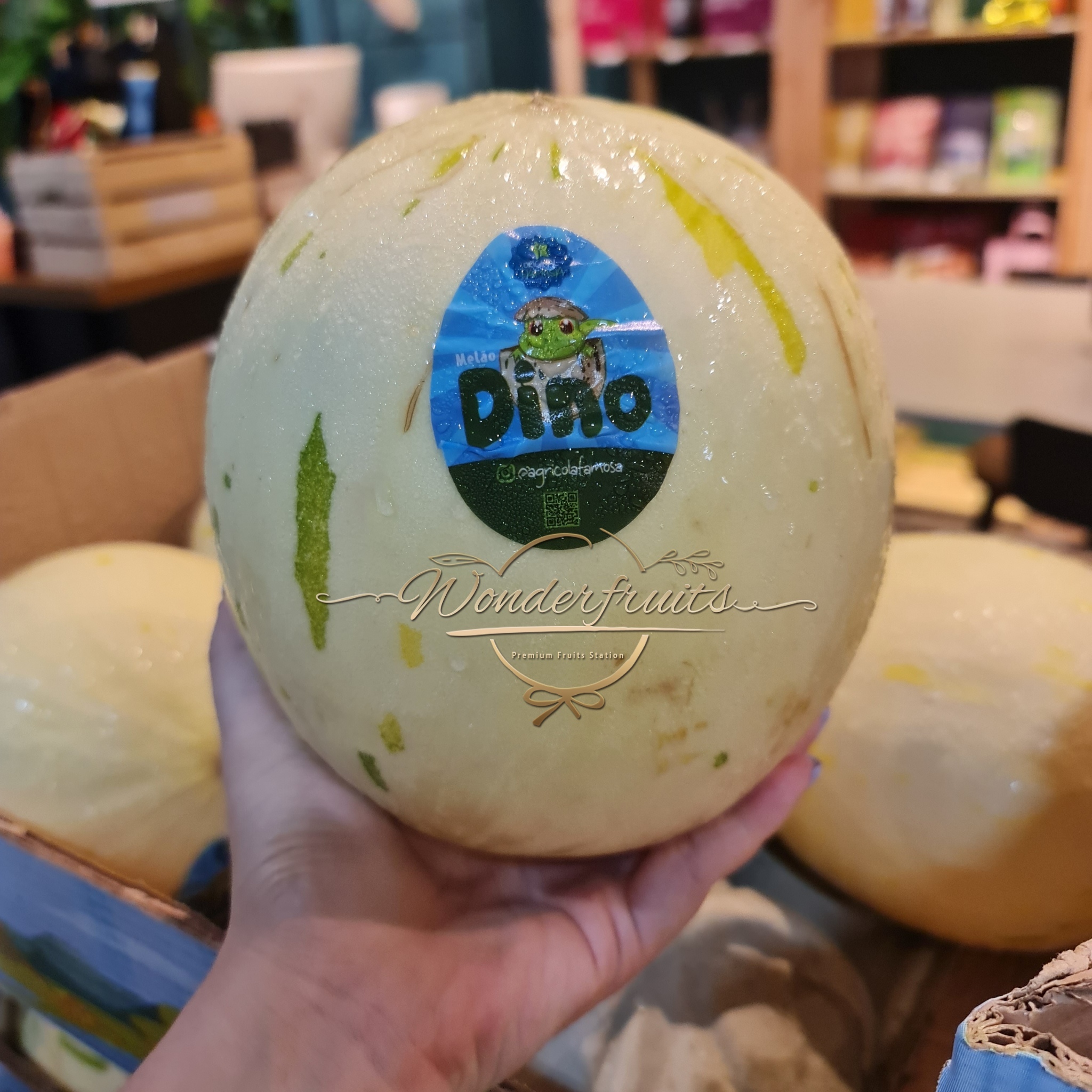 Dino Melon