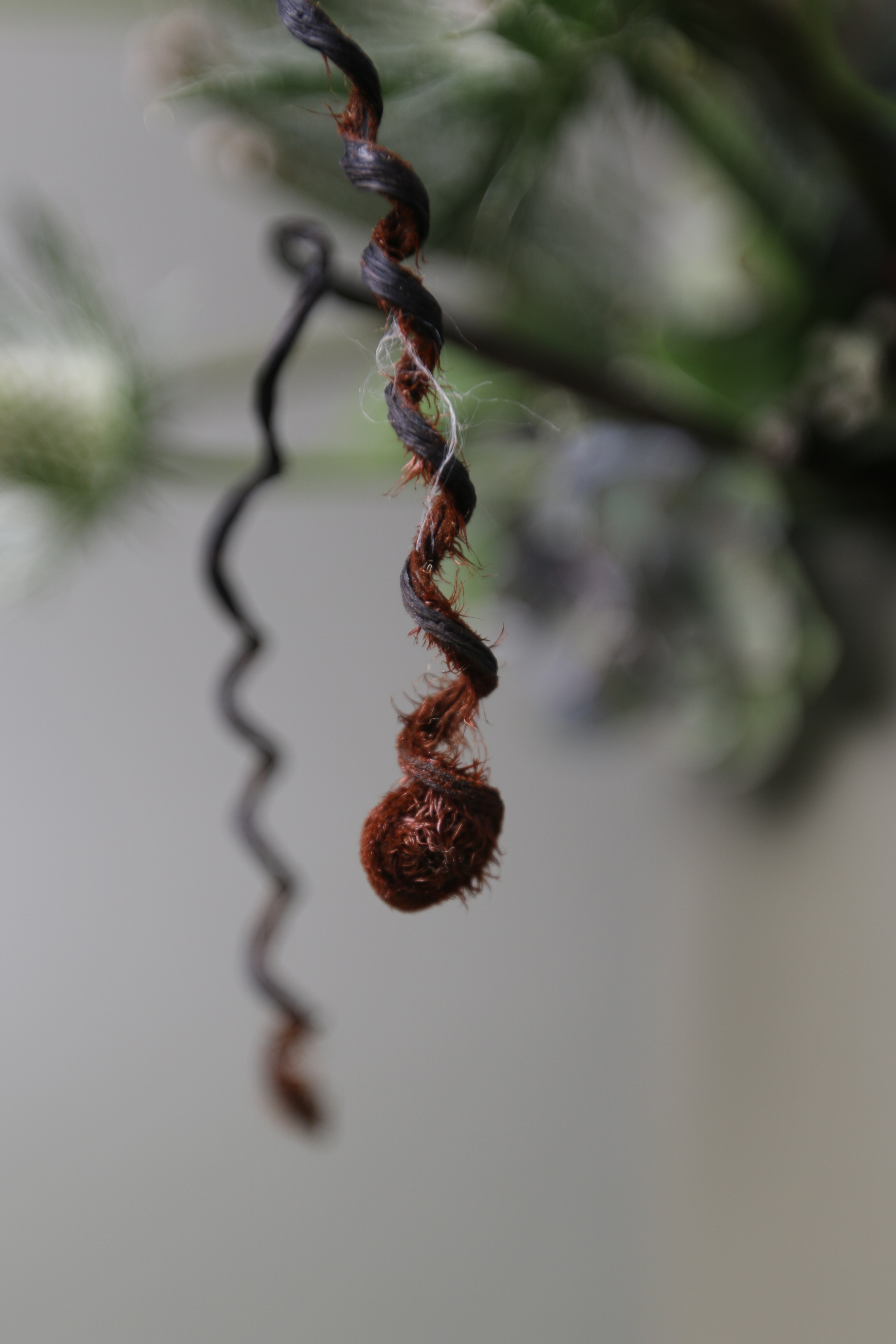 柳  川｜桌花, 花藝, 花店