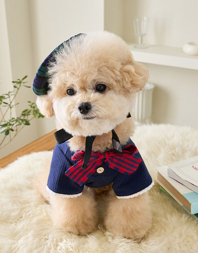 學院風棉T-海軍藍  It’s sunny outside