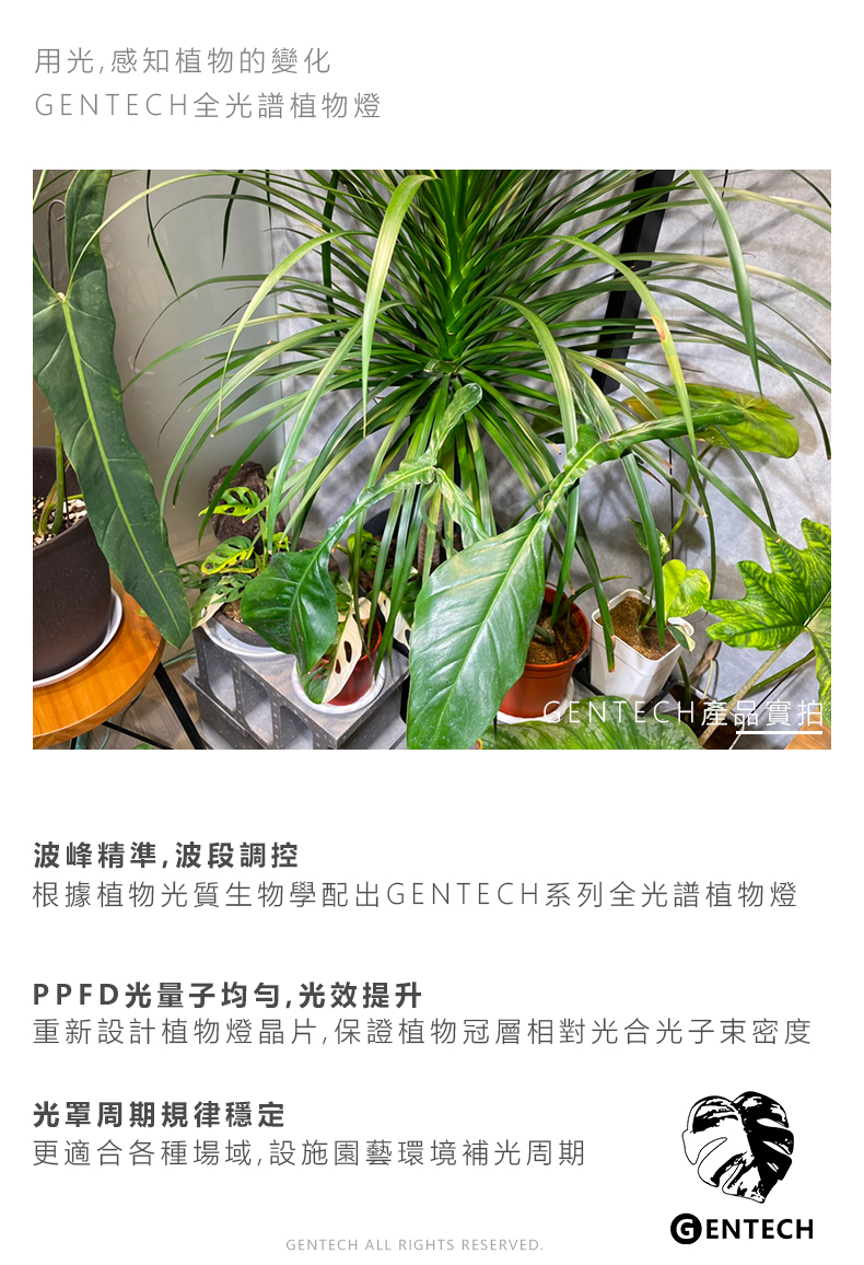 全光譜植物燈 波峰精準