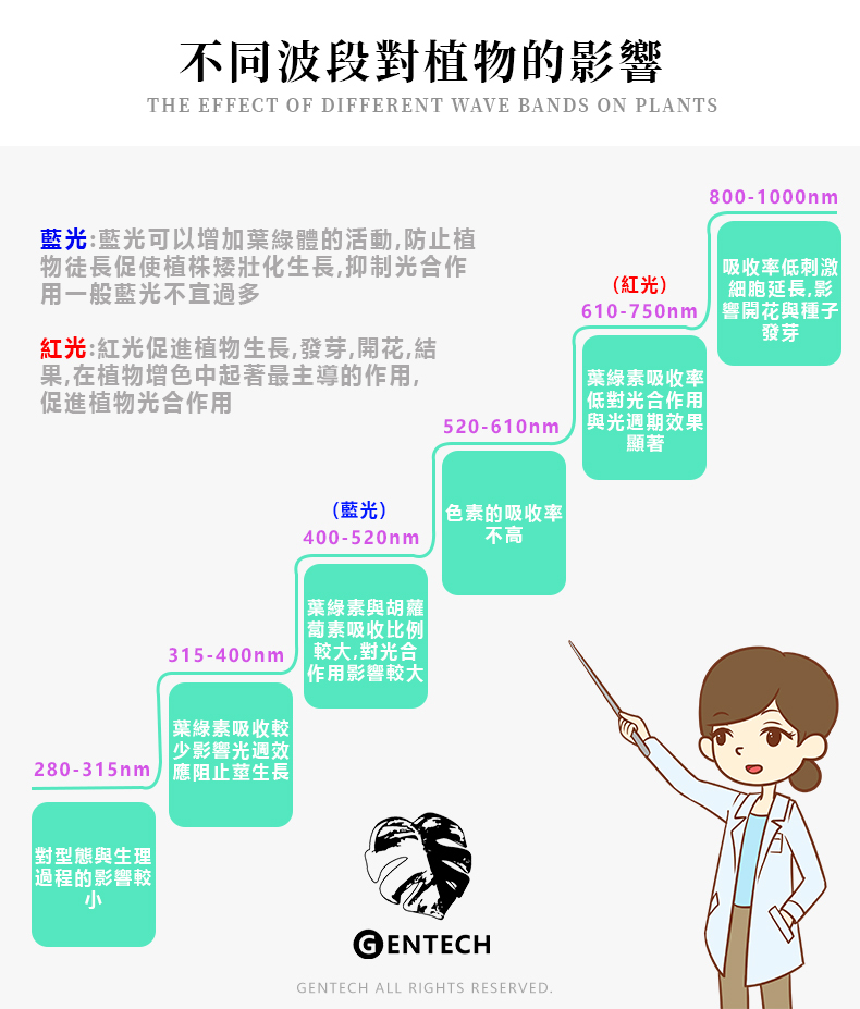 全光譜植物燈 小教室