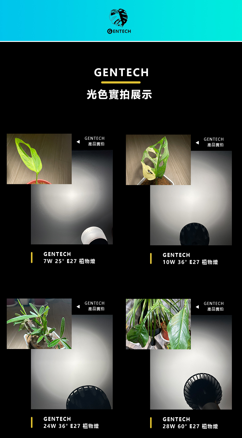全光譜植物燈 實際拍攝光
