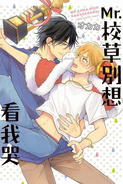Mr.校草別想看我哭