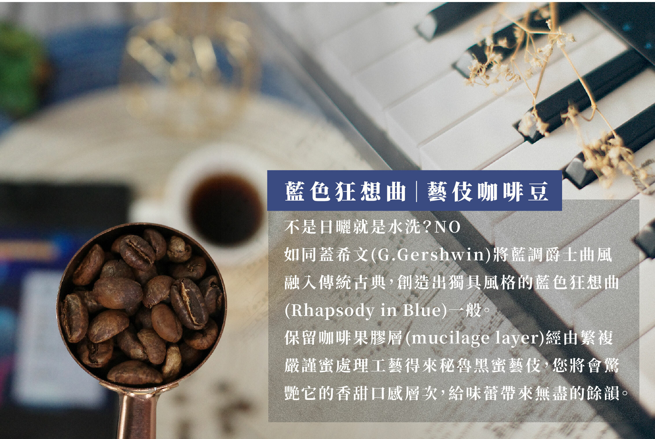 藍色狂想曲,TIMKA,藝伎咖啡