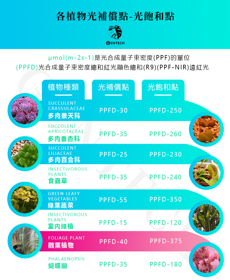 全光譜植物燈各植物光補償點與飽和點