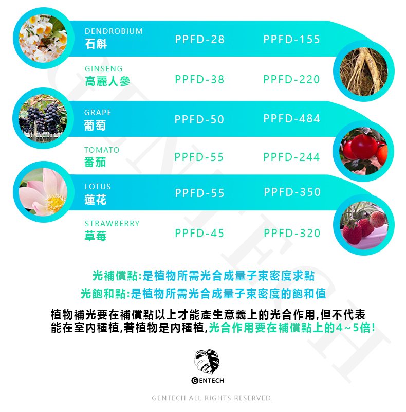 全光譜植物燈各植物光補償點與飽和點