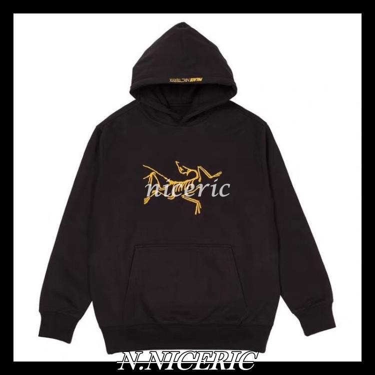 [Nice日韓歐美代購］Palace始祖鳥聯名連帽T Palace帽T Palace 始祖鳥帽T 連帽上衣