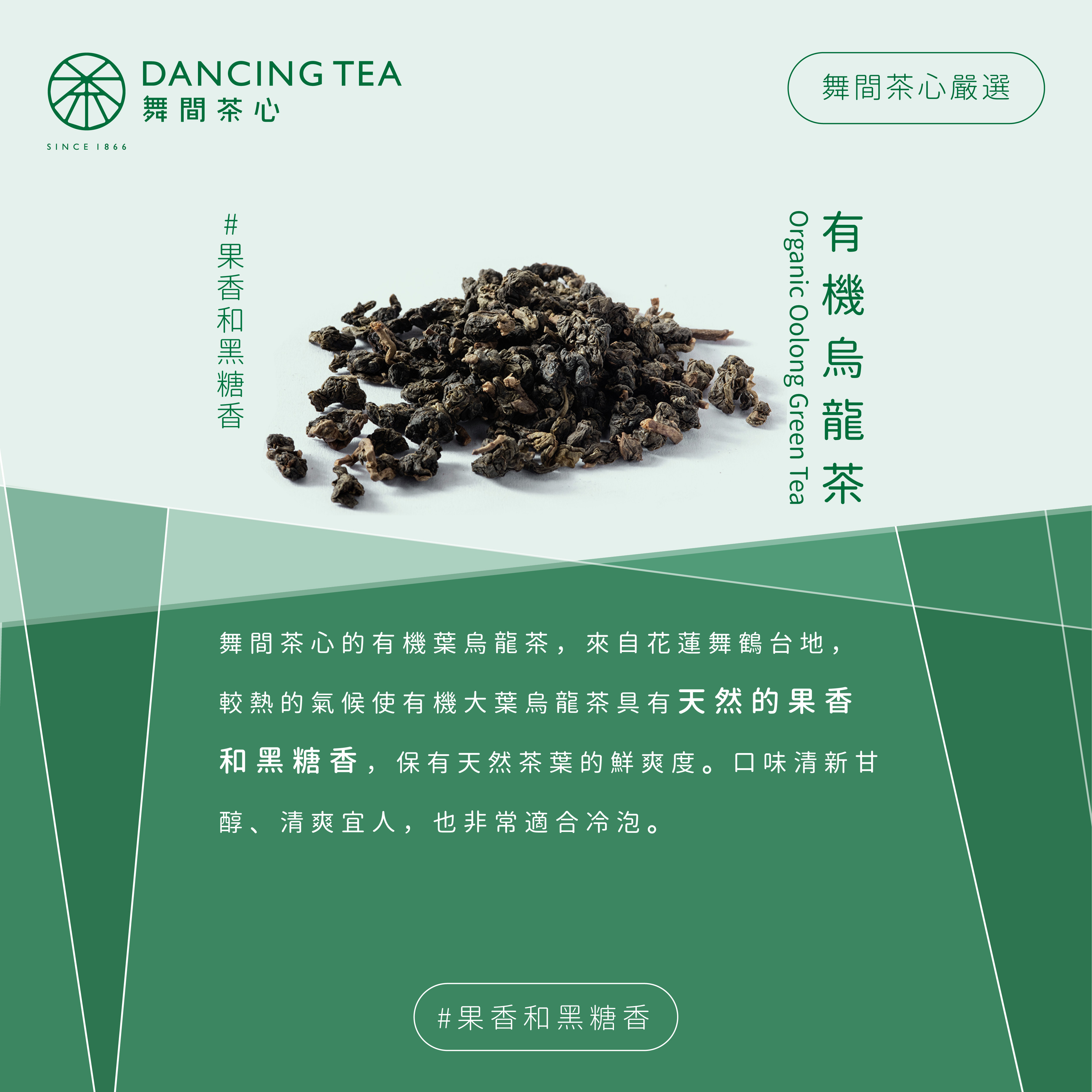 有機烏龍茶