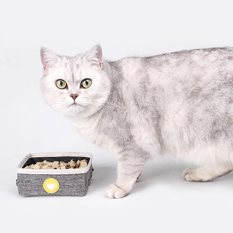 貓咪便攜摺疊碗｜寵物食盆｜戶外好助手
