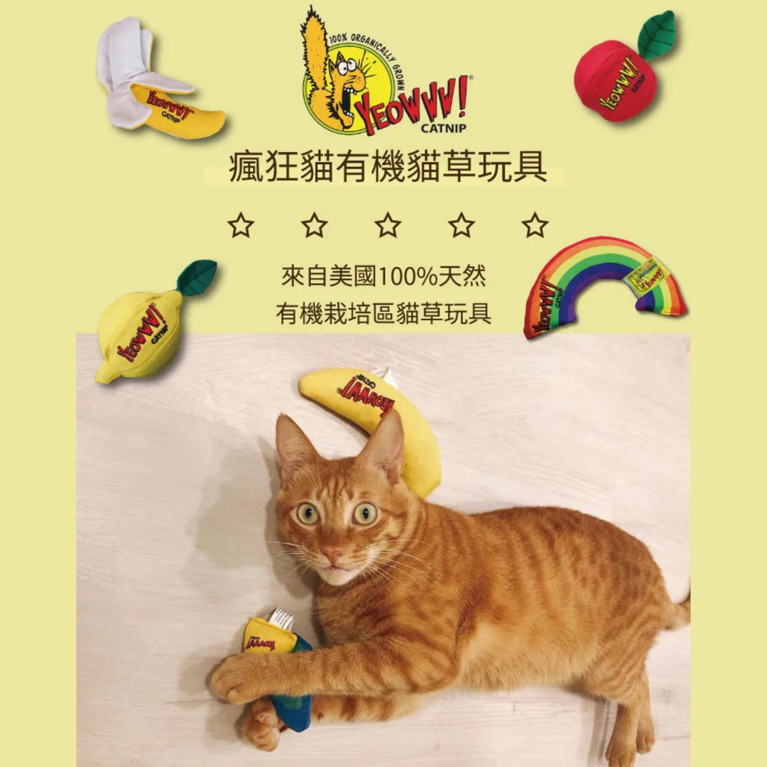 美國瘋狂貓有機貓草