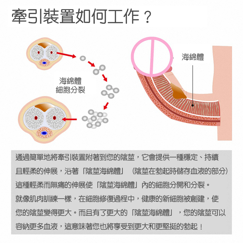 CHISA，Prof.Jason C，陰莖增大器