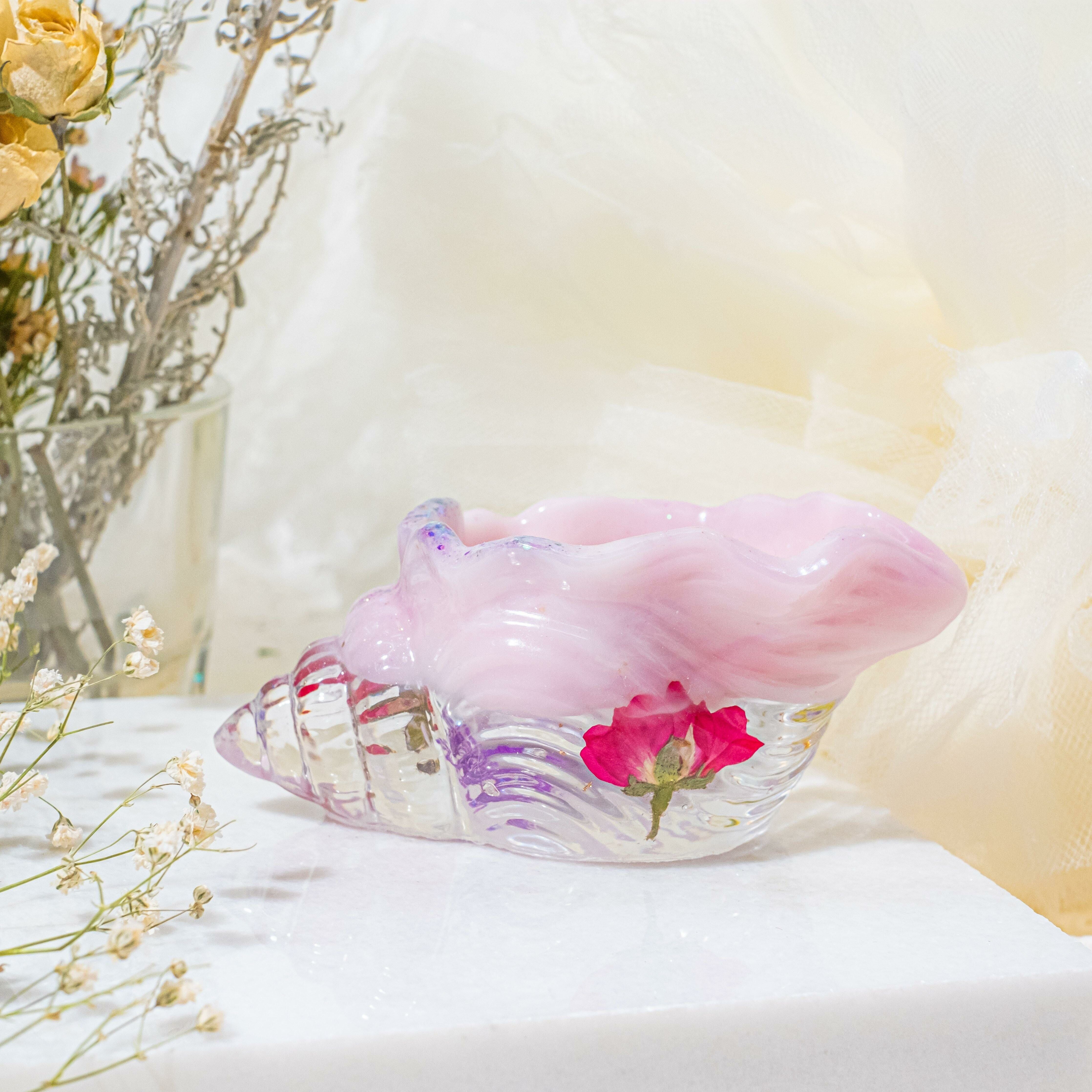 ➀➁ Shelly the Shell (2 Designs)