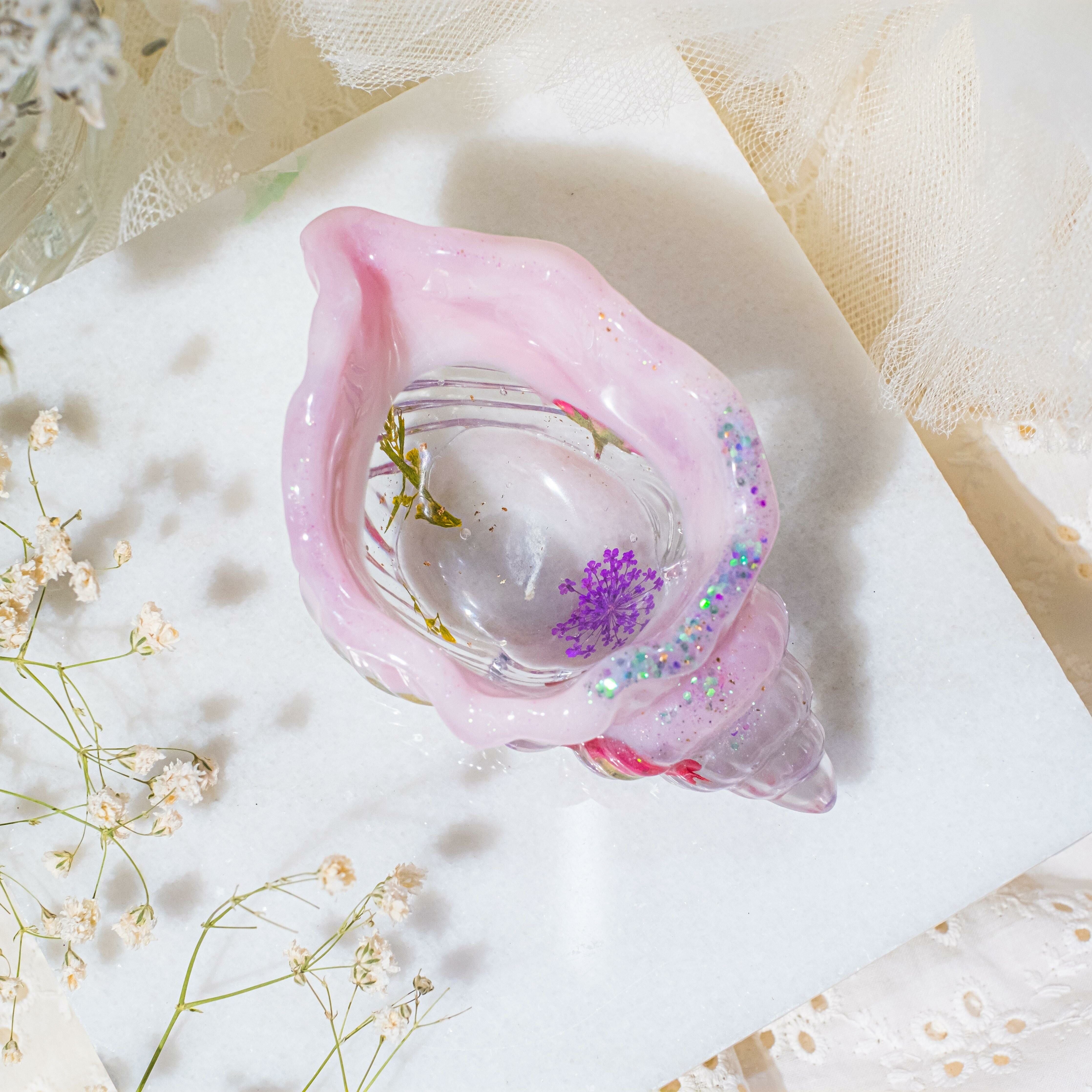 ➀➁ Shelly the Shell (2 Designs)