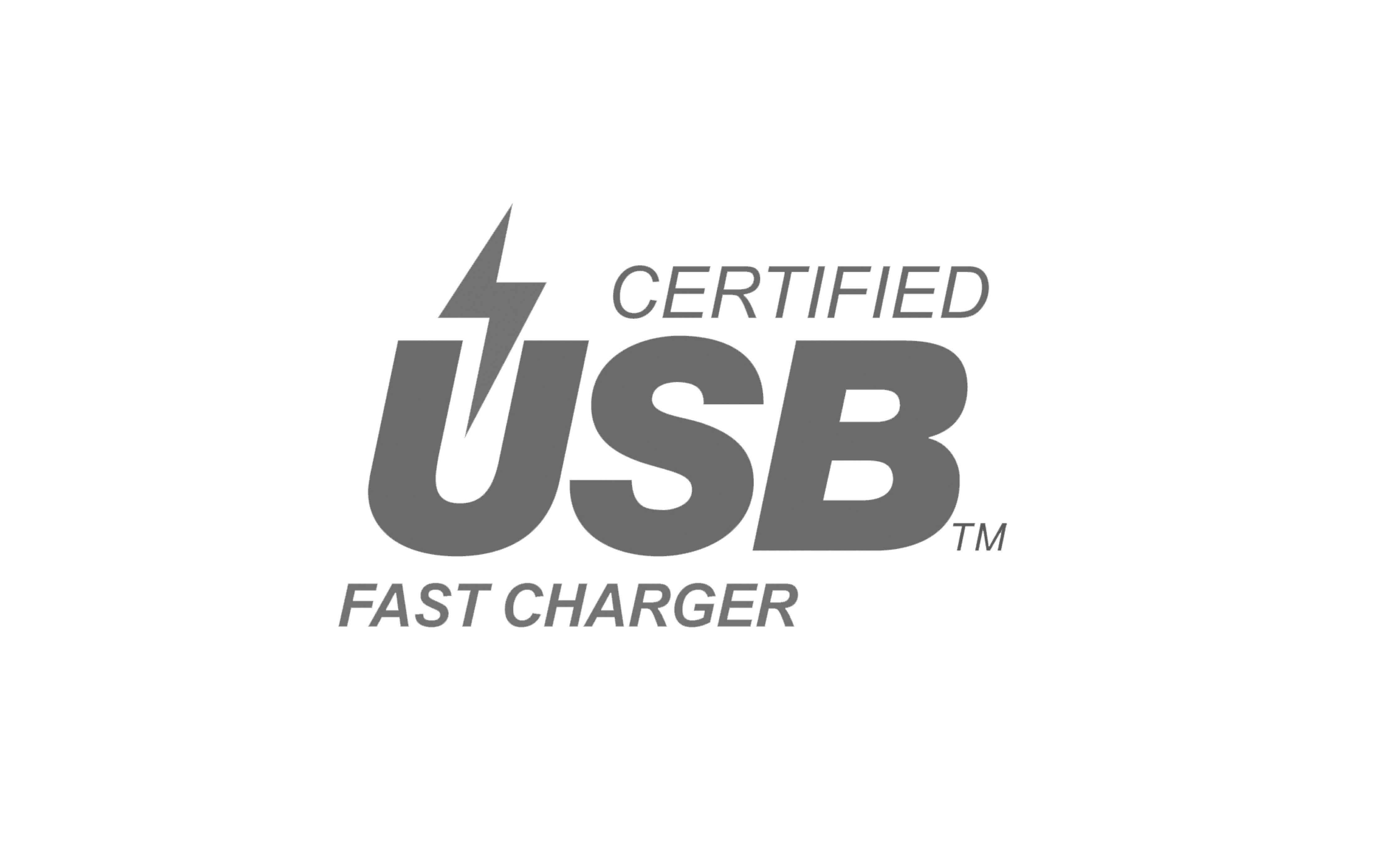 USB Fast Charger